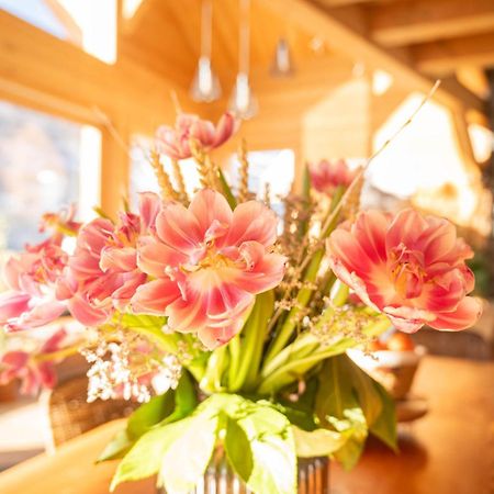 Chalet Ski Academie - Serre Chevalier 생샤프리 외부 사진